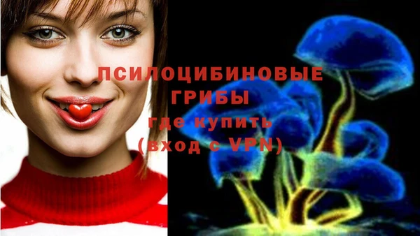 эйфоретик Медногорск