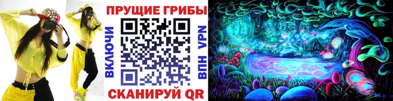 Галлюциногенные грибы Magic Shrooms  Купить где  Циолковский 