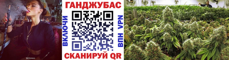 Купить закладки  Циолковский  Конопля OG Kush 